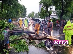 Cuaca Buruk Melanda Jakarta: Banjir, Angin Kencang, dan Pohon Tumbang