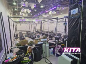 Laboratorium Narkoba Ilegal Terbongkar di Bali Dikendalikan WNA