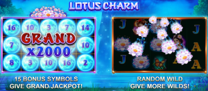 Lotus Charm BNG
