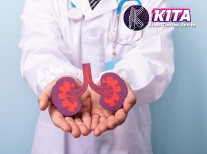 Muda Tapi Risiko Gagal Ginjal: Kebiasaan yang Harus Dihindari!