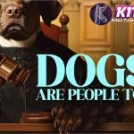 Dogs Are People Too Film Lucu yang Bikin Hati Meleleh!