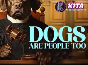 Dogs Are People Too Film Lucu yang Bikin Hati Meleleh!