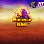 Platform Bento 2025: Alternatif Cnnslot Buffalo King Mudah