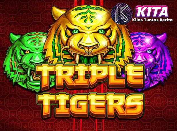 Login VIP RUBY8000 Prinsip Hierarchy Profit Slot Triple Tigers!