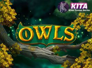 Slot Owls Menyapa 30 Pemain Super Hebat Cnnslot Asli