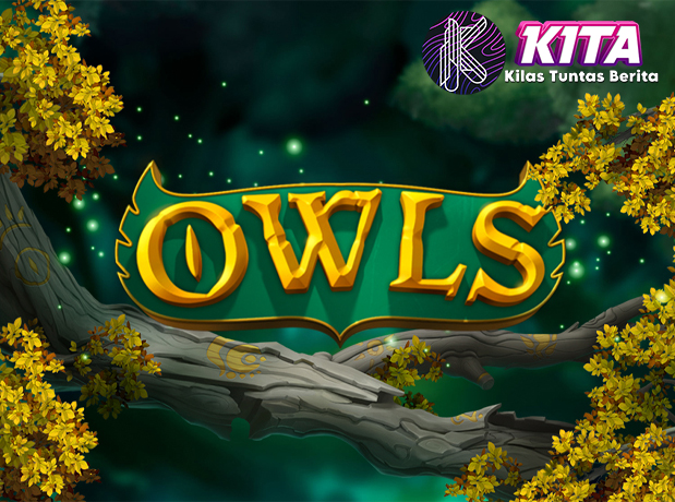 Slot Owls Menyapa 30 Pemain Super Hebat Cnnslot Asli