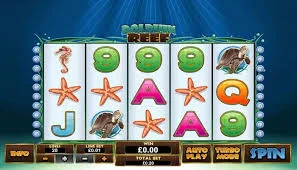 Dolphin Reef Dijamin 2000 Selalu Jadi Lebih Happy Guys!