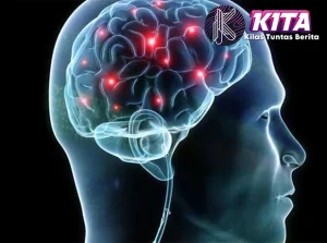 Otak Muda di Usia Tua? Ini 7 Exclusive Anti Pikun!