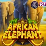 African Elephant: Teman Rich 6 Gajah Lindungi Dari Bahaya!
