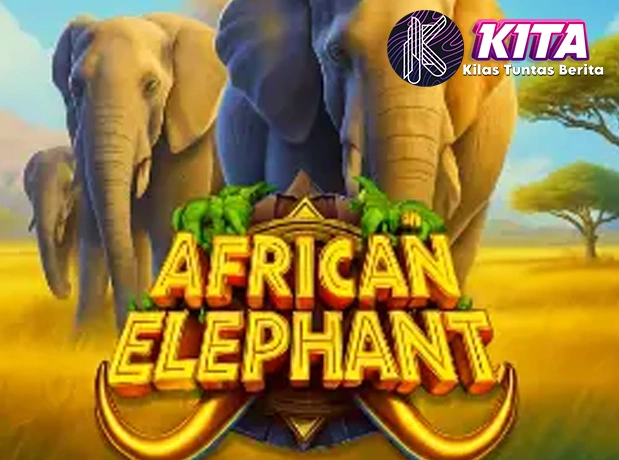 African Elephant: Teman Rich 6 Gajah Lindungi Dari Bahaya!