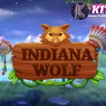 Indiana Wolf Caper Sambil Happy Jadi 600 Serigala