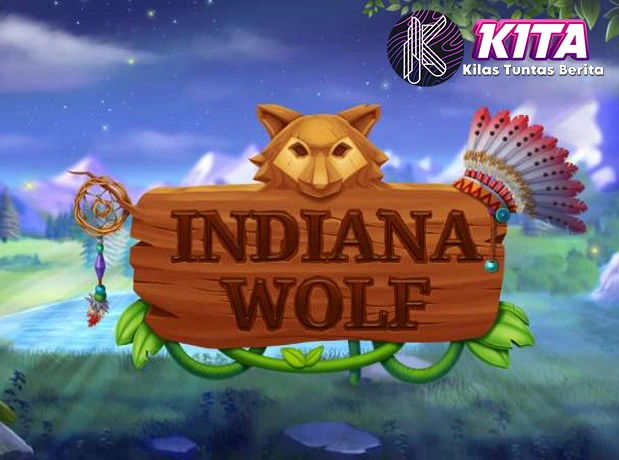 Indiana Wolf Caper Sambil Happy Jadi 600 Serigala