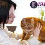 Kucing Bukan Rich Peliharaan: Ini 7 Manfaatnya!