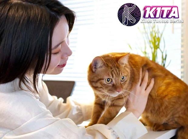 Kucing Bukan Rich Peliharaan: Ini 7 Manfaatnya!
