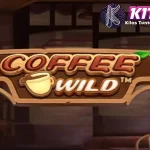Coffee Wild 8 Gunung Cuma Waktu Singkat