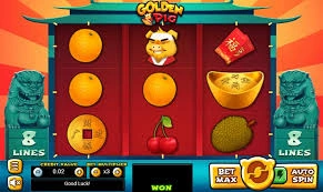 Golden Pig Panas Dan Siap Bayar 25jt Besar Rich