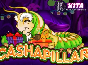 Cashapillar Buat Member 5 Exclusive Cuy