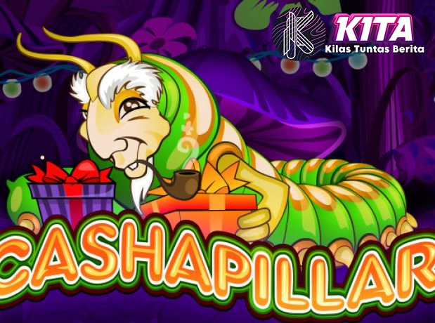 Cashapillar Buat Member 5 Exclusive Cuy