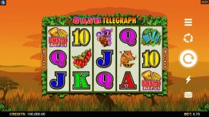 Bush Telegraph Jadi 9 Sumber Info Master